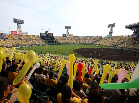 甲子園球場ウグイス嬢 小森華奈さんの熱意 第一に 間違えないこと 野球コラム 週刊ベースボールonline