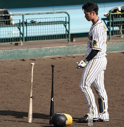 阪神・近本光司 タイ・カップ型のバットに自信あり | 野球コラム