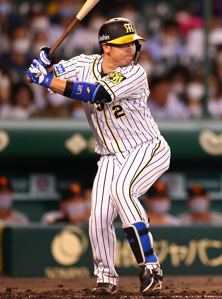 珍しい 阪神タイガース 梅野隆太郎選手 Npbマーク入りバット バット