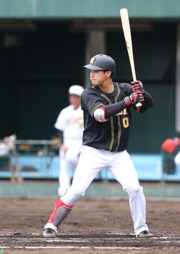 岡田彰布選手 阪神 木製バット 突っ張り サイン入り 約20cm プロ野球 