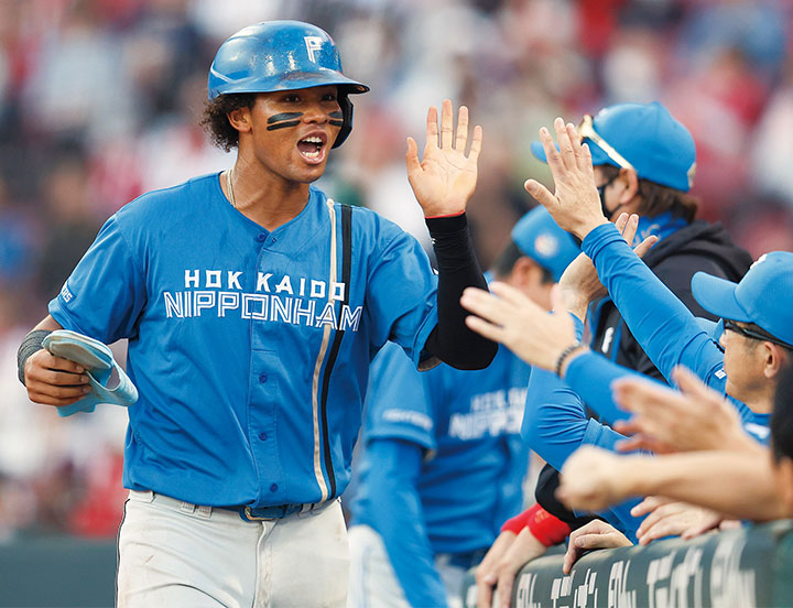 ブランドのギフト 野球 ユニフォーム NPBマーク（北海道日本 KATOH ファイターズ その他