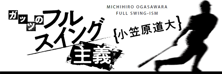 ���޸�ƻ�祳���