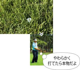 アプローチ バンカー編 夏ラフはハンドレイトでヘッドを走らせる コースで超役立つ状況別打ち方 ワッグルonline