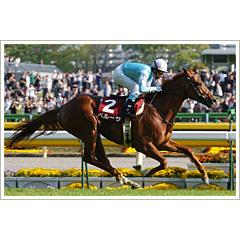 ジャックポットさん