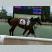 1口馬主で夢を掴むさん