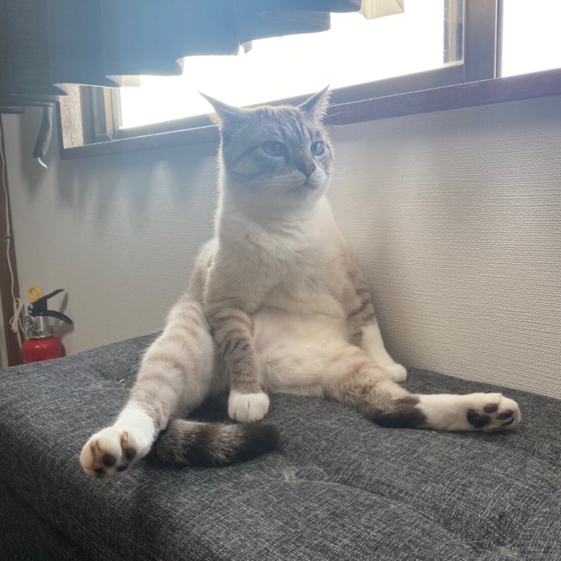 まるのすけ♂さん