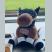 牝馬のお尻ハンターさん