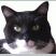 猫課長さん